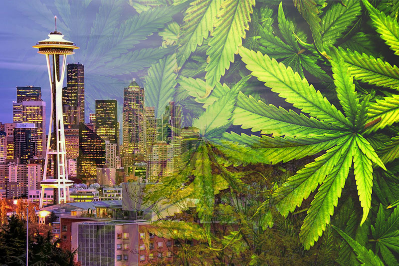 Image result for seattle marijuana