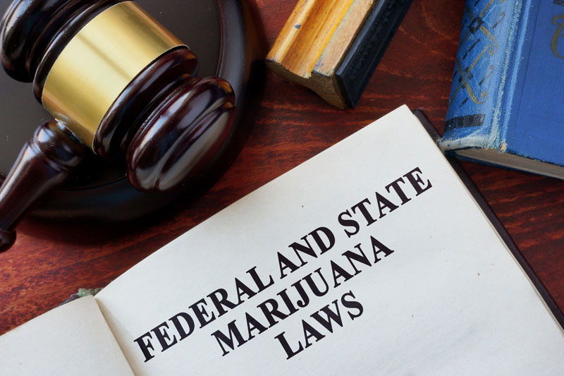 Cannabis Prohibition History