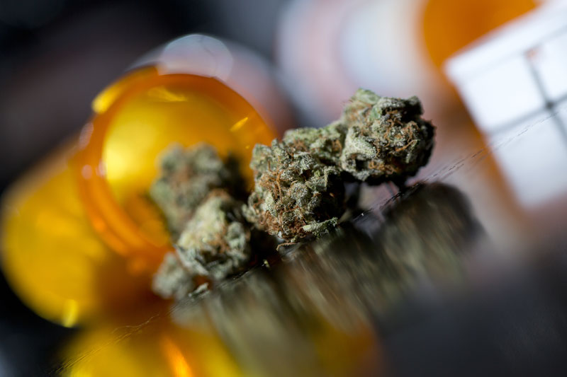 Tips for Marijuana Job Seekers