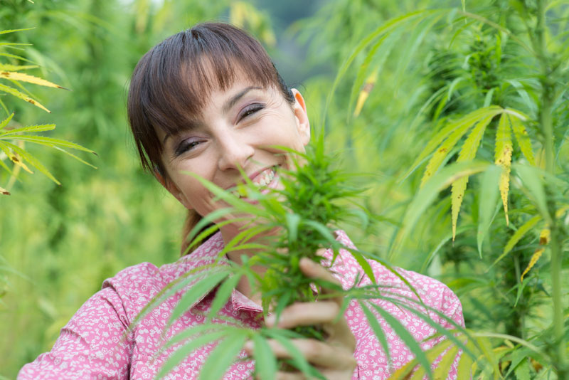 marijuana jobs