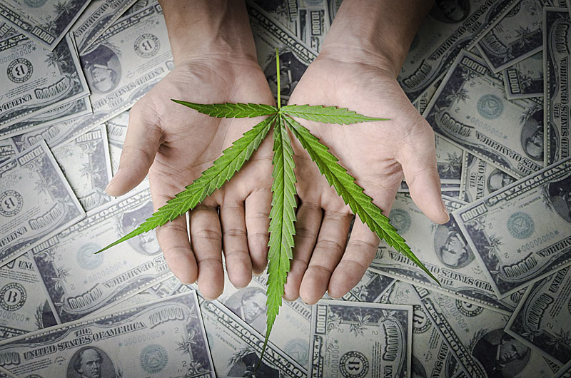How to Earn Top Dollar in the Marijuana Industry