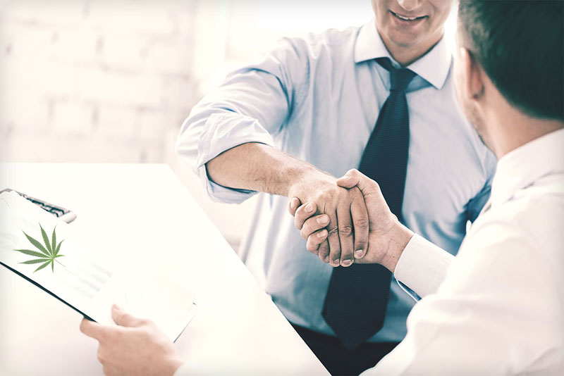 marijuana sales rep jobs