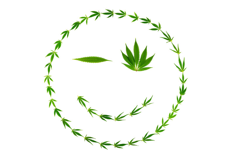 Top 10 Marijuana Jobs