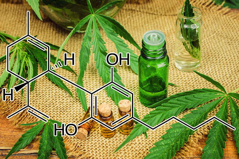 cbd jobs